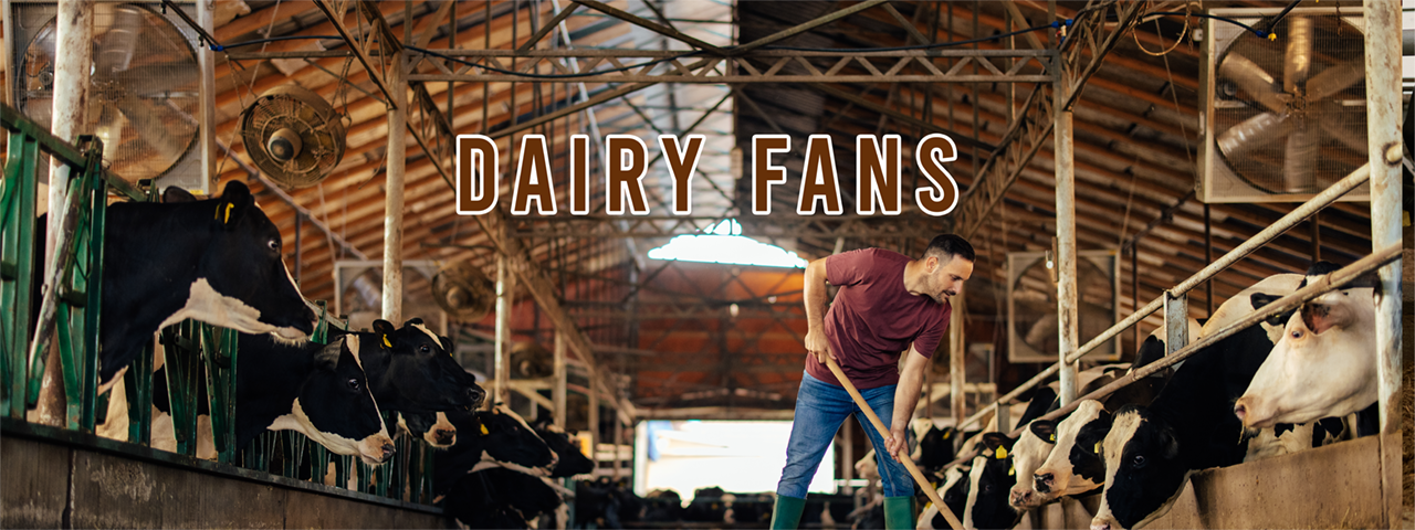 Dairy fans